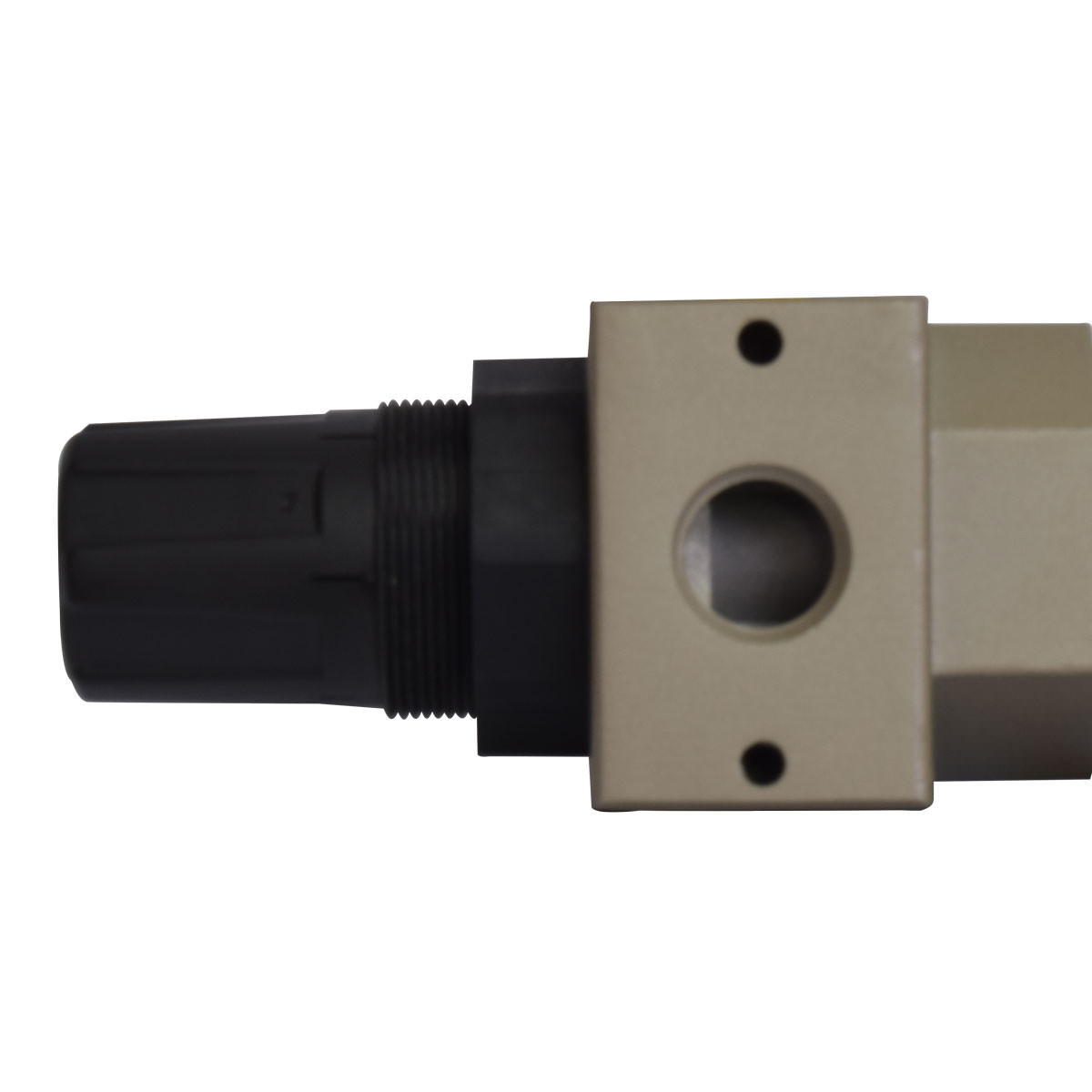 Filtro Regulador de Ar 1/2 Pol. 2.600L/min SCHULZ 926.6019 0