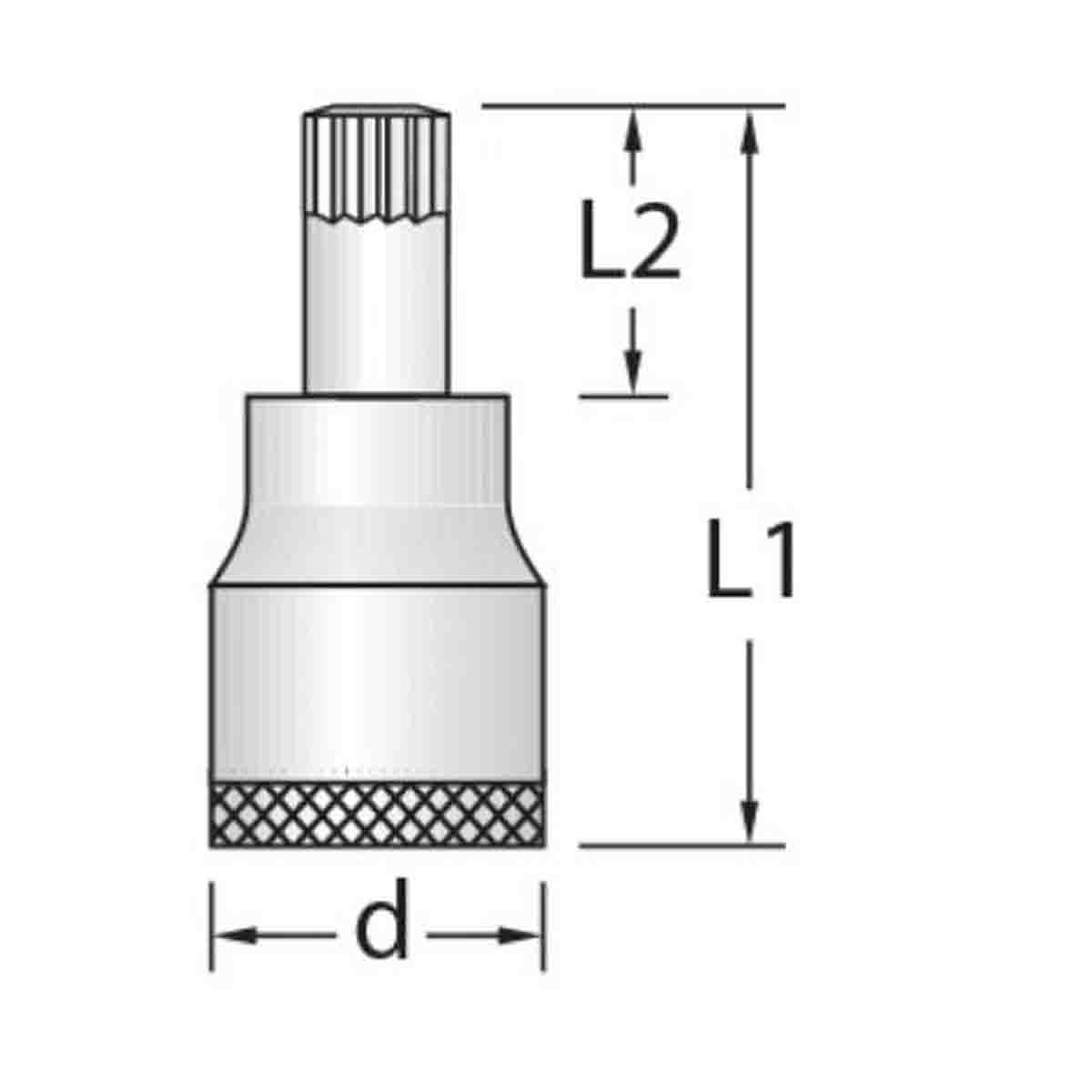 Soquete Multidentado 12mm Inx19-12 Gedore